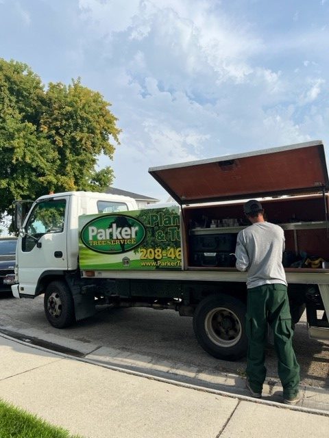 Professional tree risk assessment service in Caldwell, ID