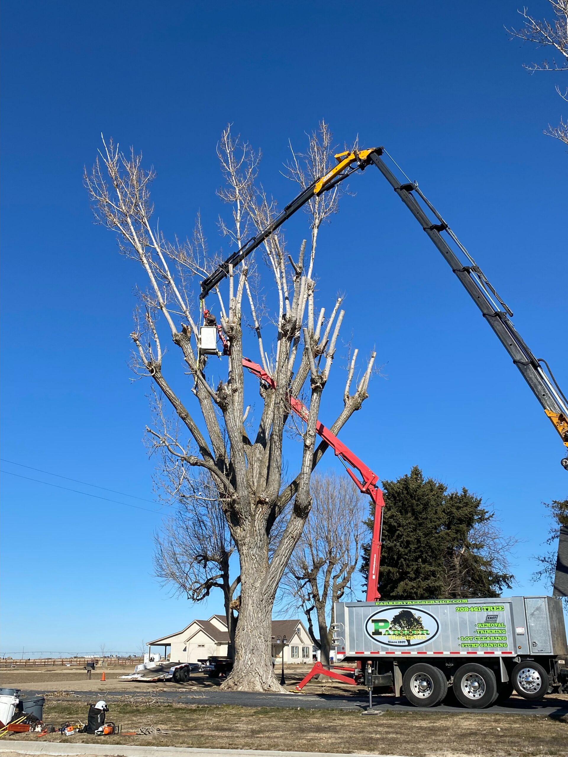 Safe and professional tree removal service in Caldwell, ID