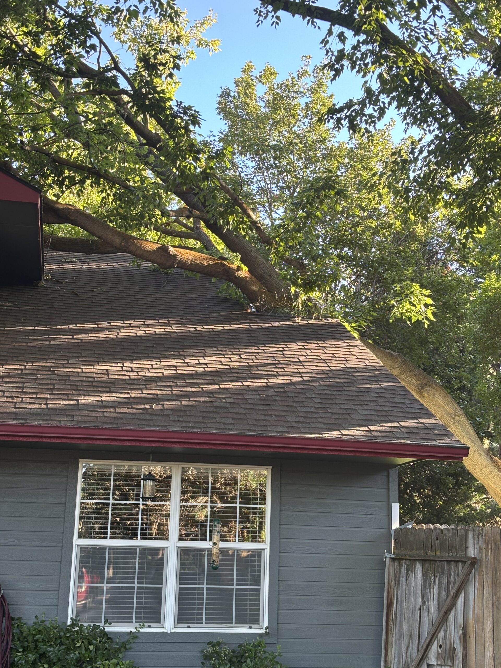 Emergency tree removal after storm damage in Caldwell, ID