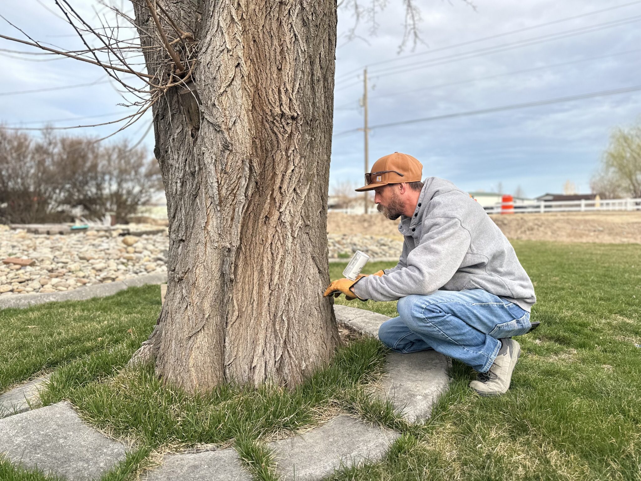 Parker Tree Service, Inc. gallery 4