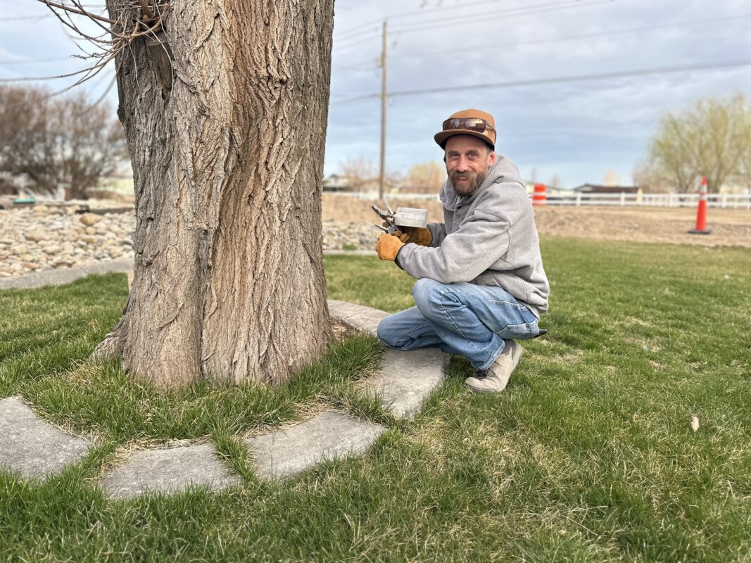 Alt text: arborist inspecting outdoor tree before holiday lights installation in Boise Idaho
Caption: Professional tree inspection in Boise Idaho before decorating trees for the holidays