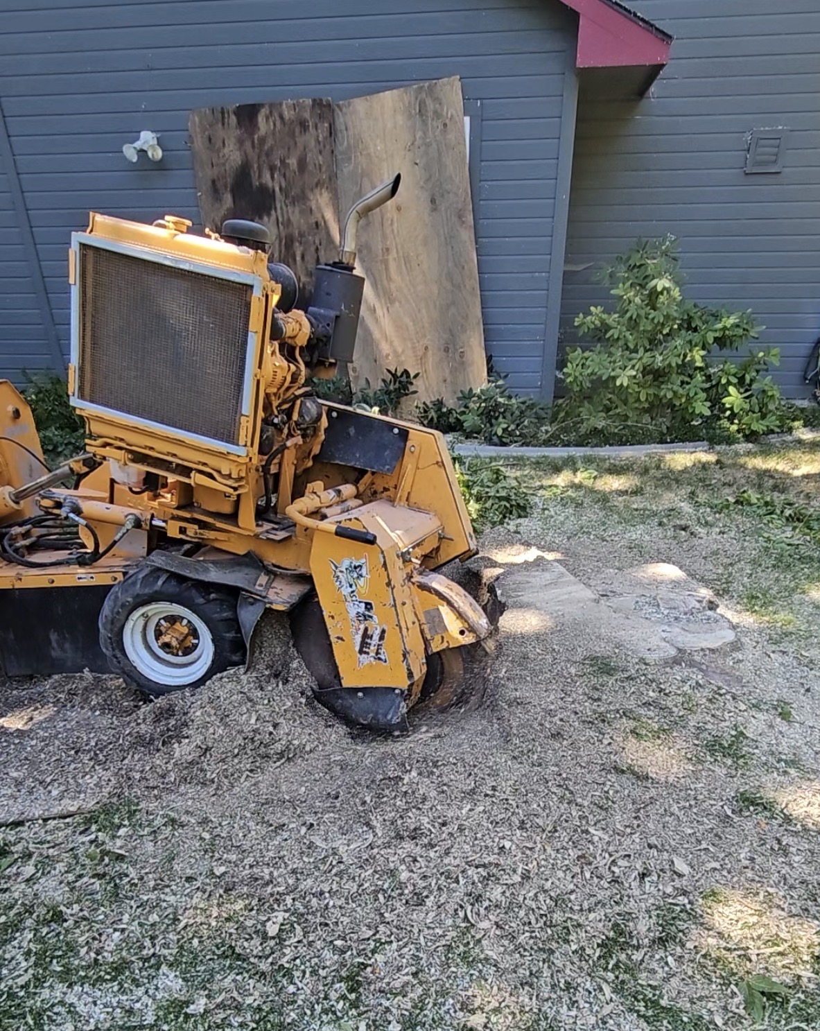 Stump grinding and removal service in Caldwell, Idaho