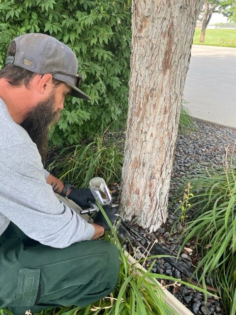 Parker Tree Service technician treating a tree for plant health care