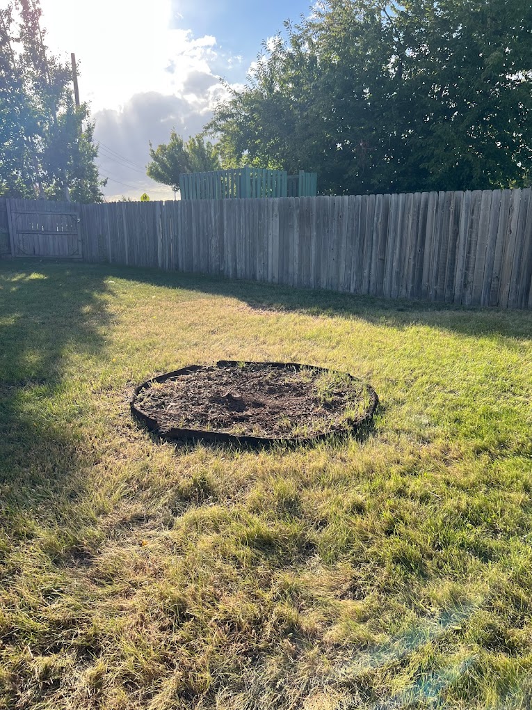 Yard area after Parker Tree Service stump grinding work