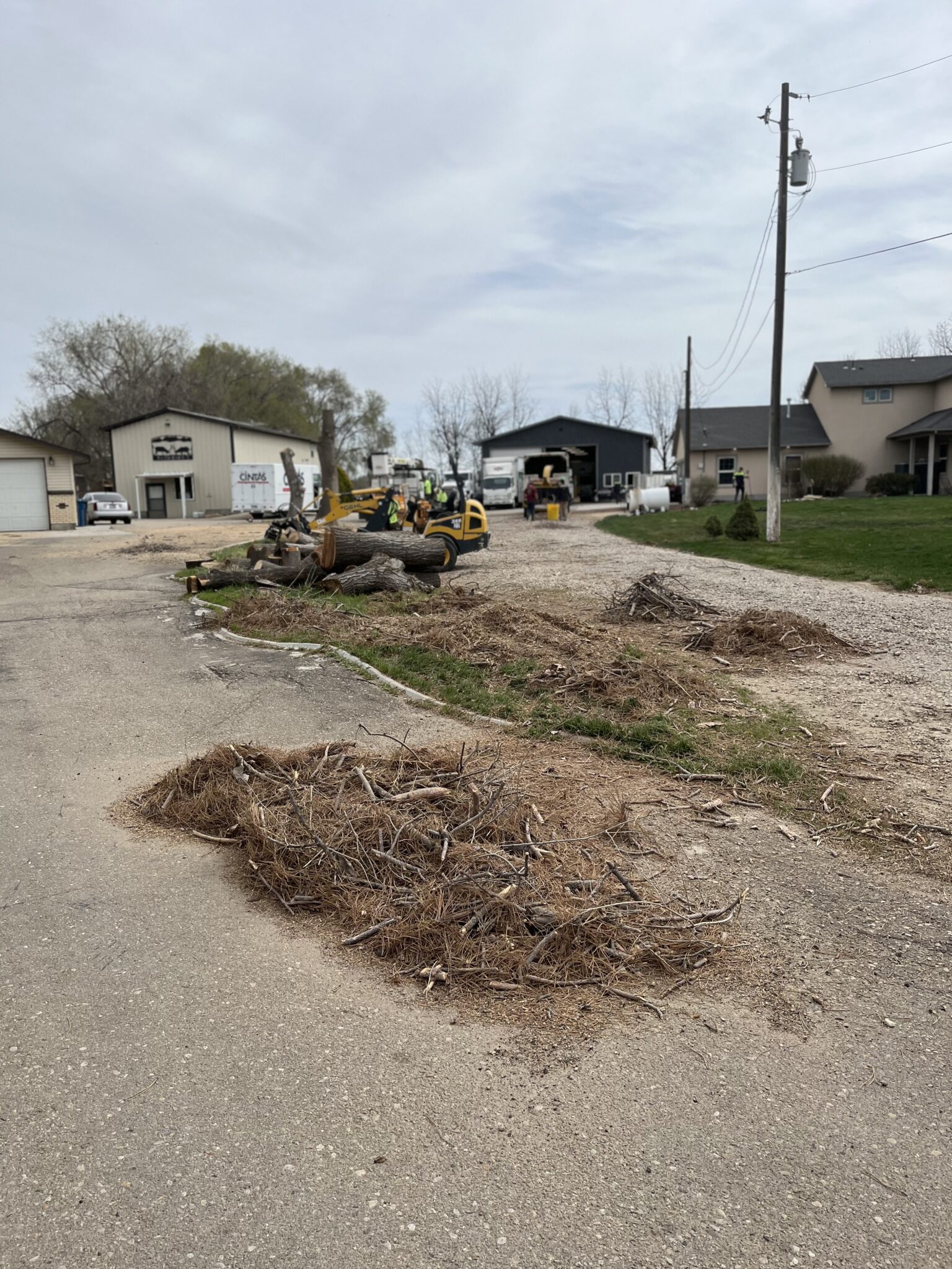 Property cleanup after tree and stump removal work