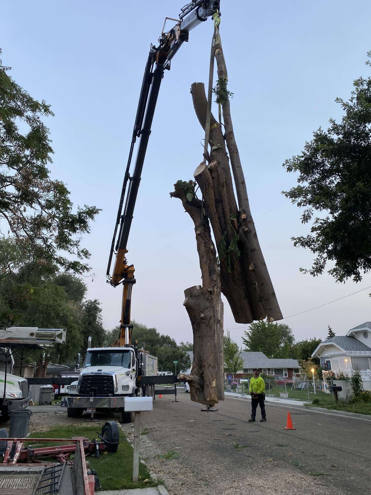 Parker Tree Service crane removing large tree sections near a home