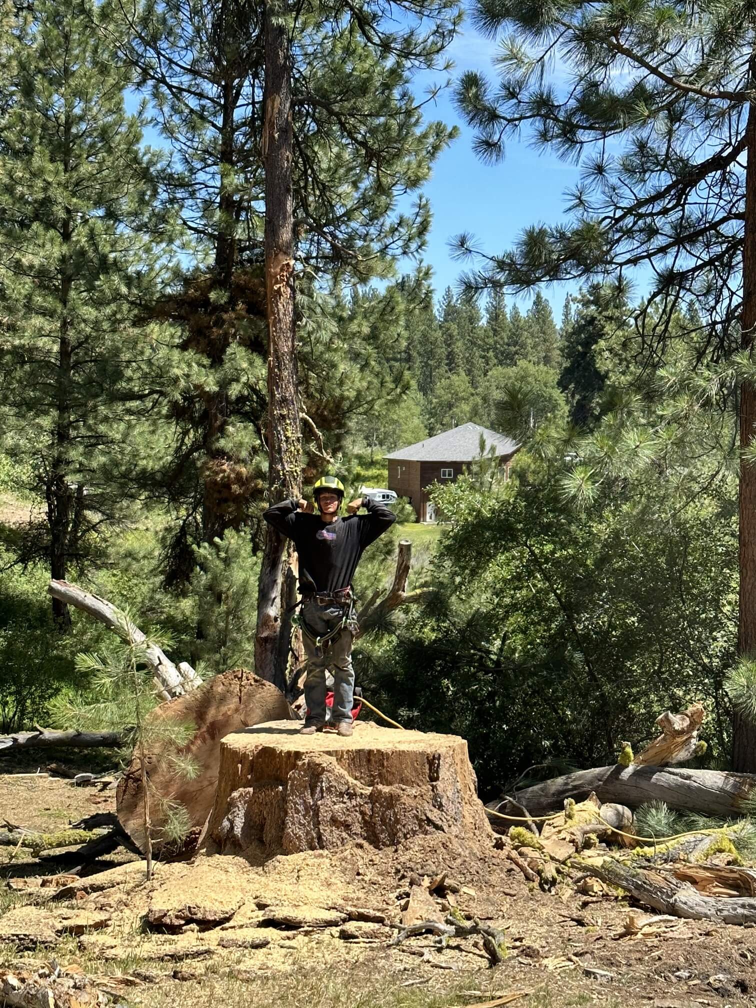 Parker Tree Service team member beside a completed tree removal