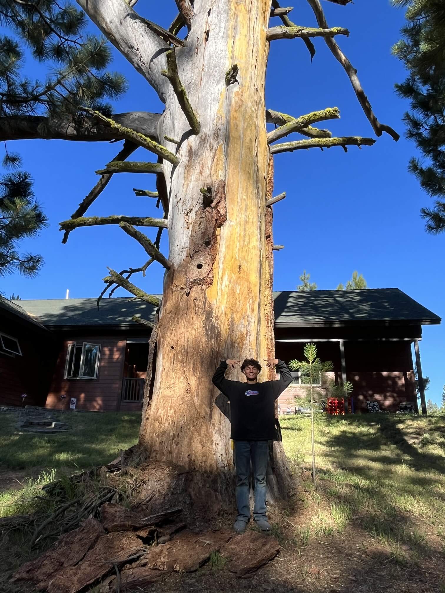 Parker Tree Service team member showing the scale of a mature tree